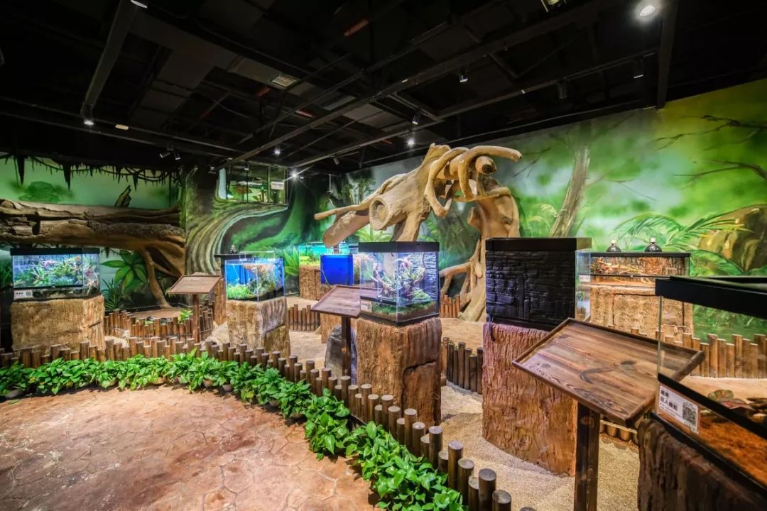 打卡梦幻童话王国室内展览活动，一站式解锁三种遛娃方式