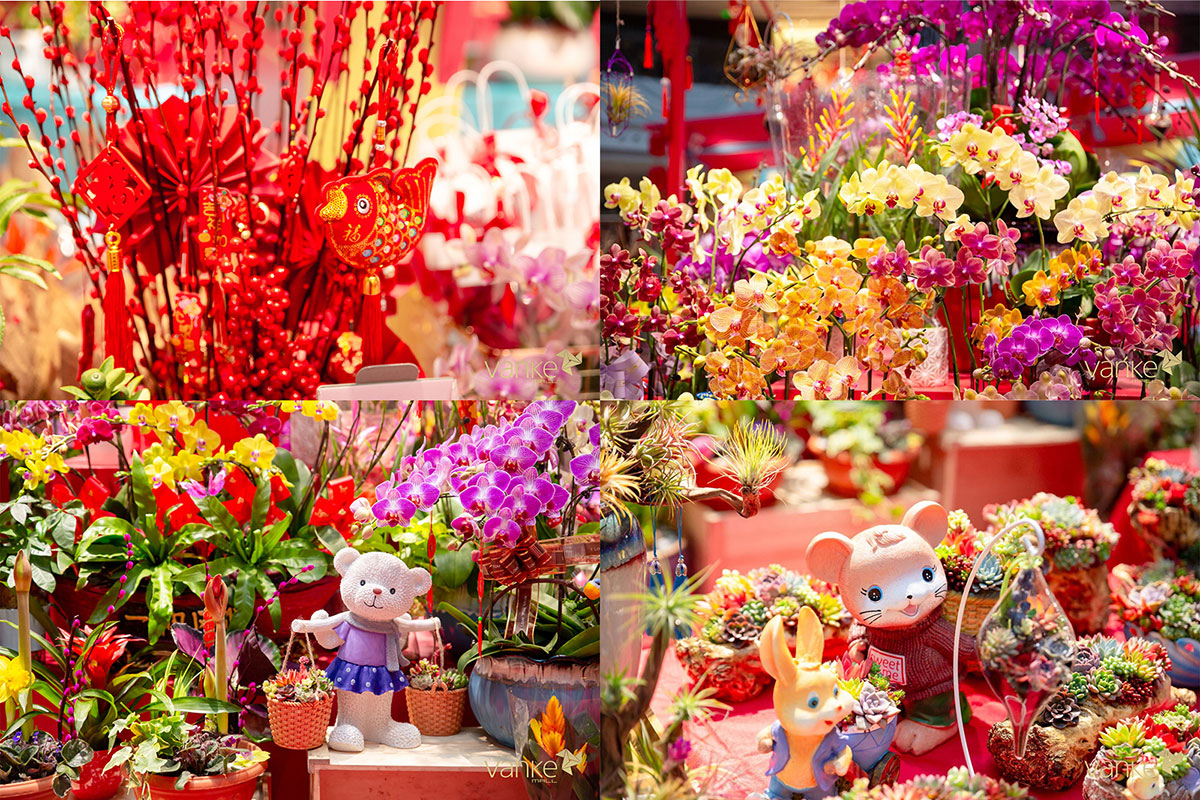 年宵花市活动正式大吉开市，鸣锣闹新春了，抓紧时间来围观吧