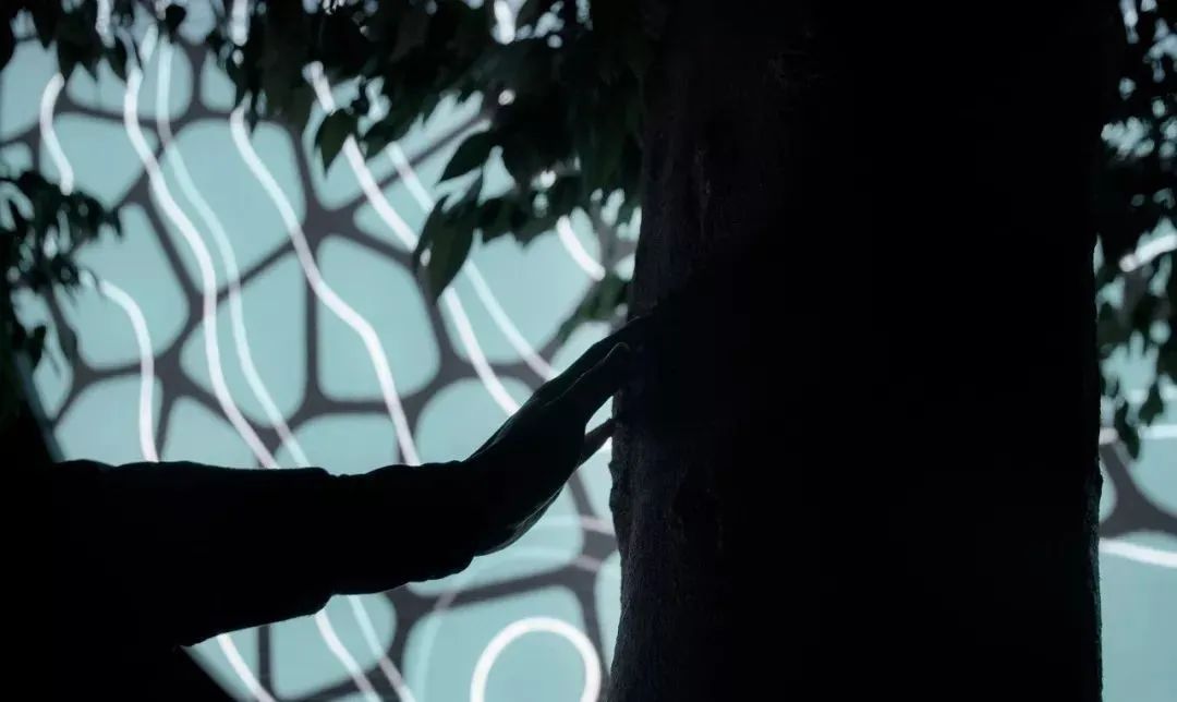 仅用一个灯光展览活动装置就传递了大自然的声音,自然之声太神奇了