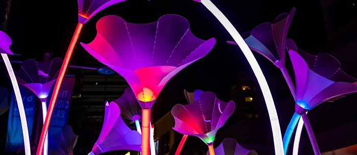 艺术展览活动装置留声机，用巨大的“喇叭花”激活你安静的夜晚