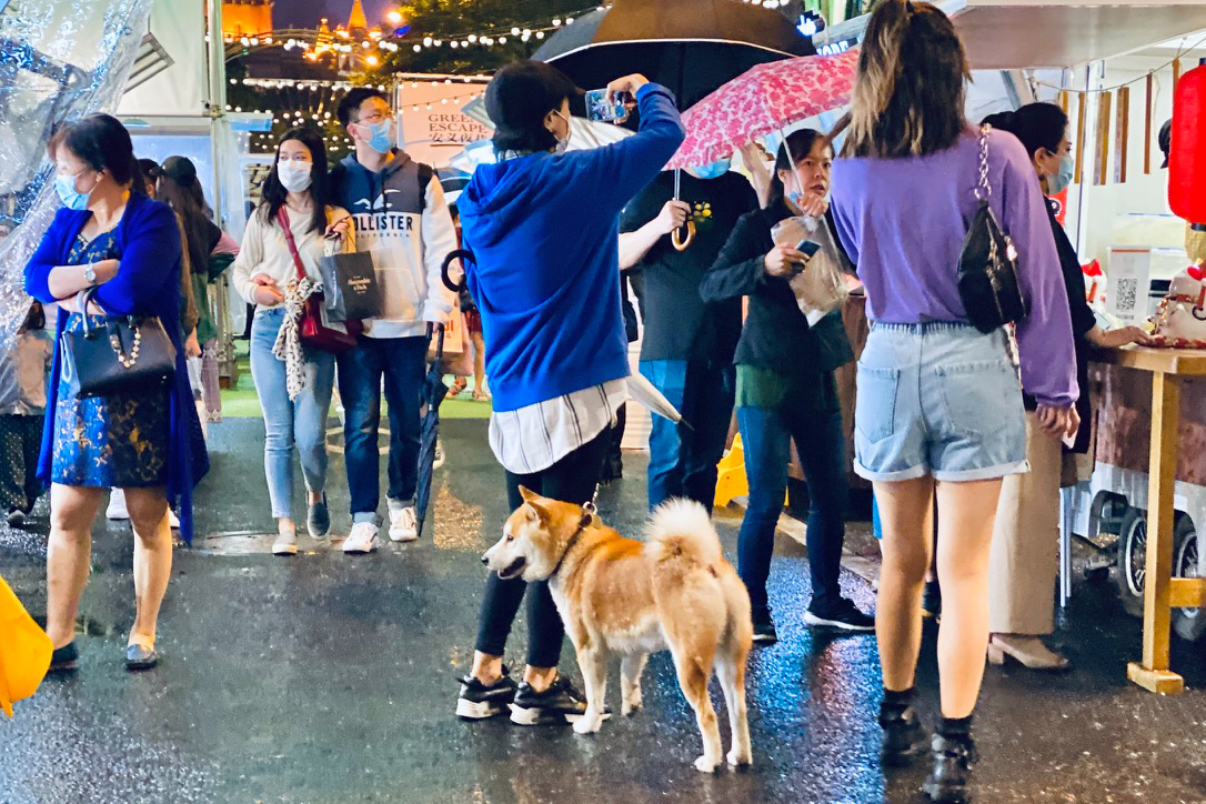 安义夜巷六大板块全面升级,重解锁多元文化和趣味互动社交生活场