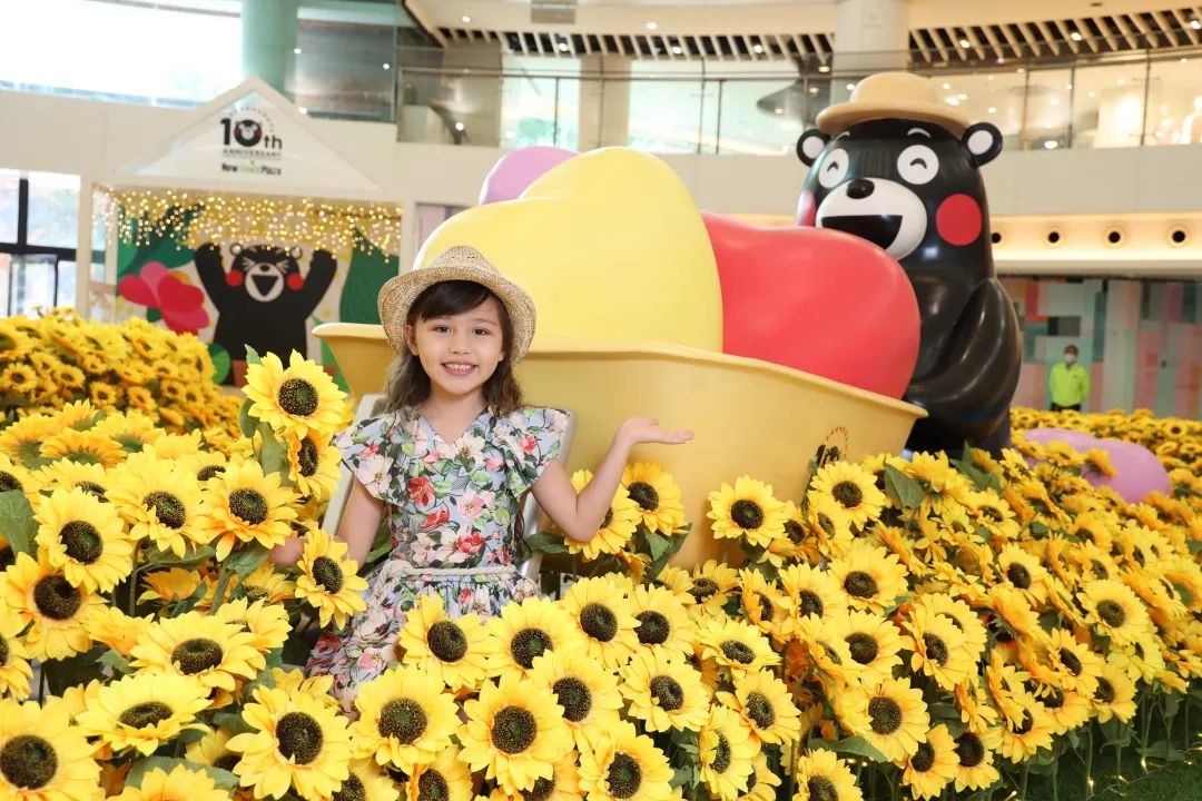 听说日本人气巨星熊本熊带着一片向日葵来香港办展览活动了