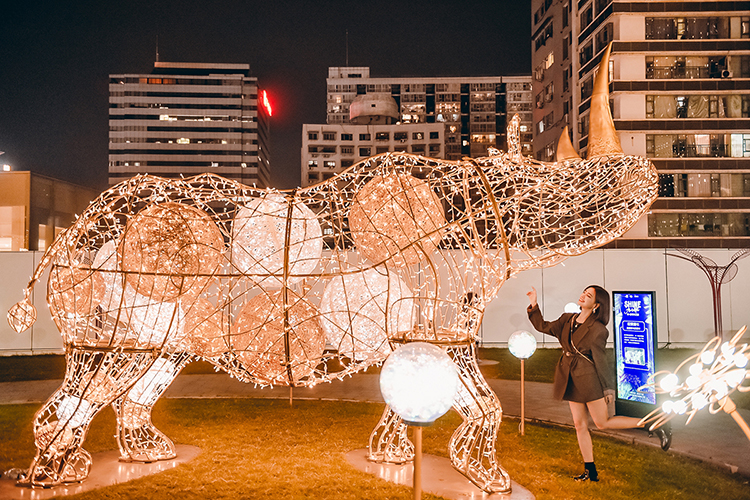 与「闪·森寻光之旅」展览活动策划的奇珍异兽同追寻万物之源