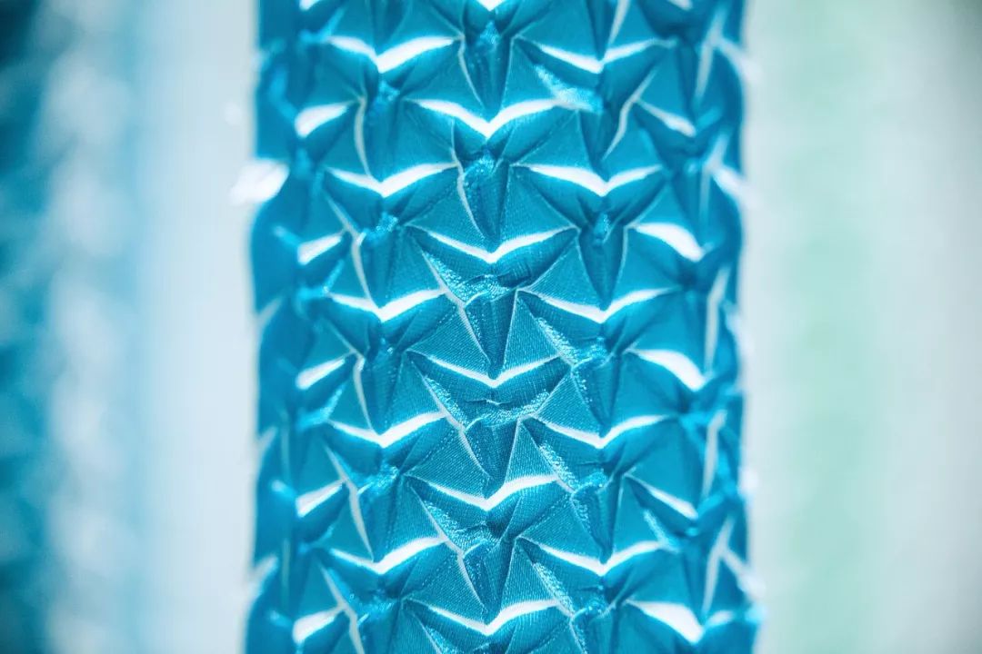 橱窗里的活动策划紧扣自然风景，像森林中呼吸的生物一般美丽