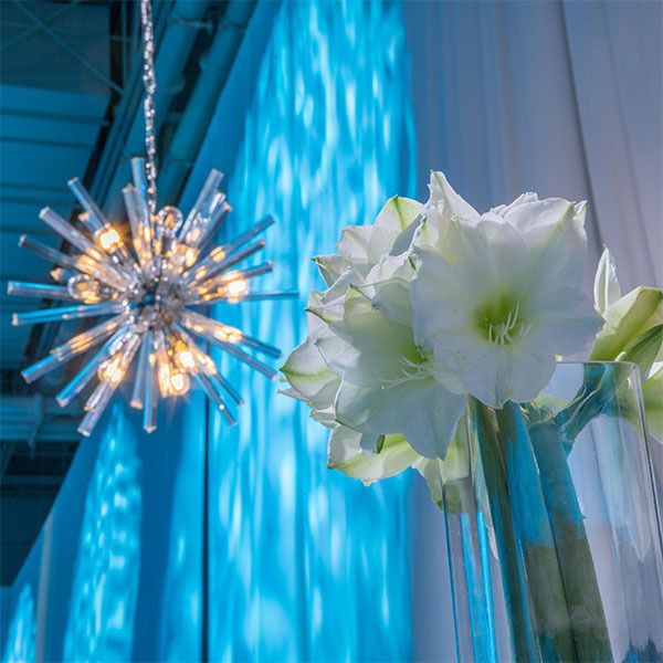 年会活动策划的变革,以蝴蝶的蝶变正式开始序章