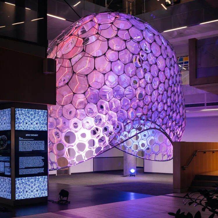 微软首例沉浸式展览装置可以将匿名数据转化为精致的光与彩之舞