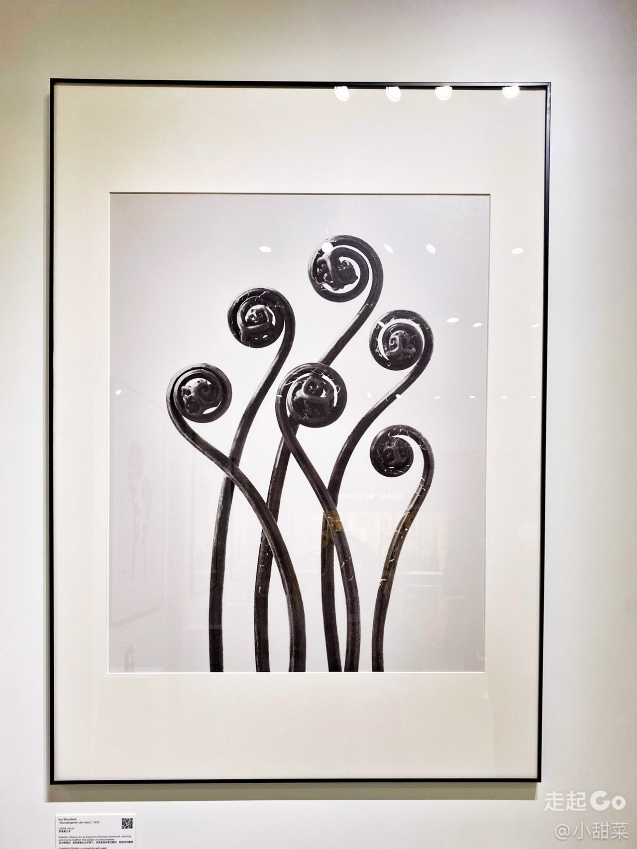 美陈网 美陈方案 美陈上海逛展? 嘉里中心的罗意威ART BOX限时体验展4