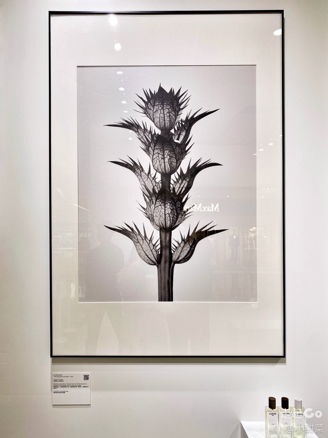 美陈网 美陈方案 美陈上海逛展? 嘉里中心的罗意威ART BOX限时体验展8