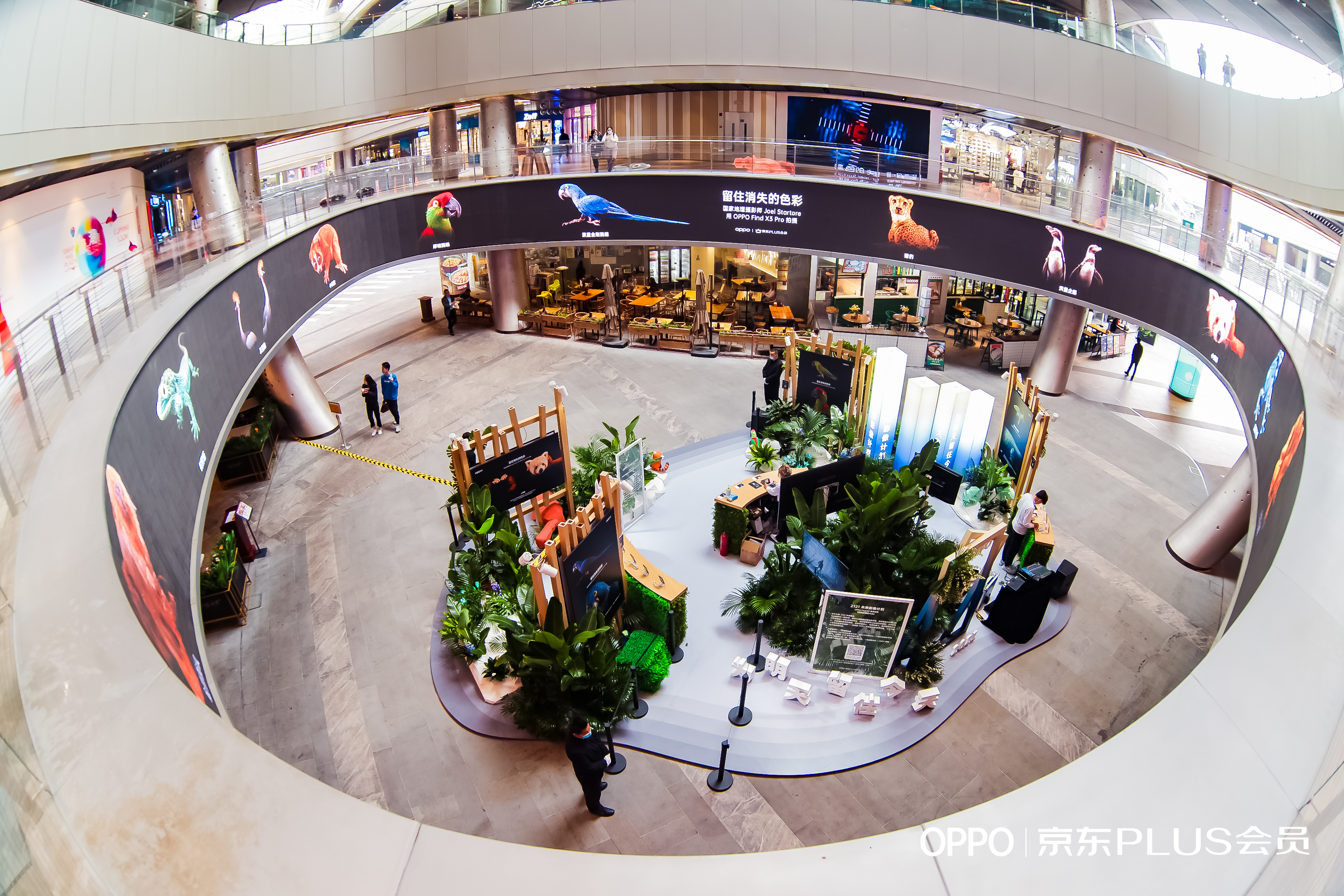 OPPO Find X3 X京东之家限时快闪店活动策划旨在留住消失的色彩