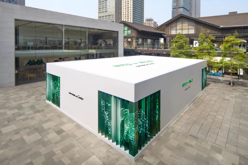 “寻踪豹影”的卡地亚猎豹快闪活动策划满是猎豹奔跑时的动感姿态