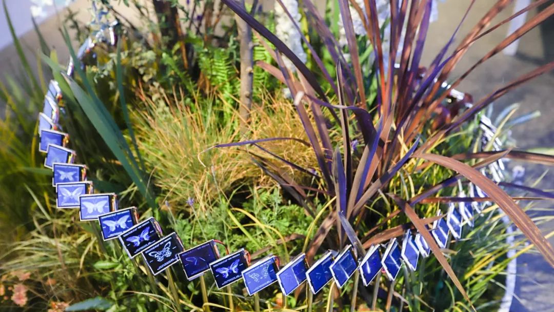 「交融边界」快闪活动策划创作出带有美学设想的艺术作品