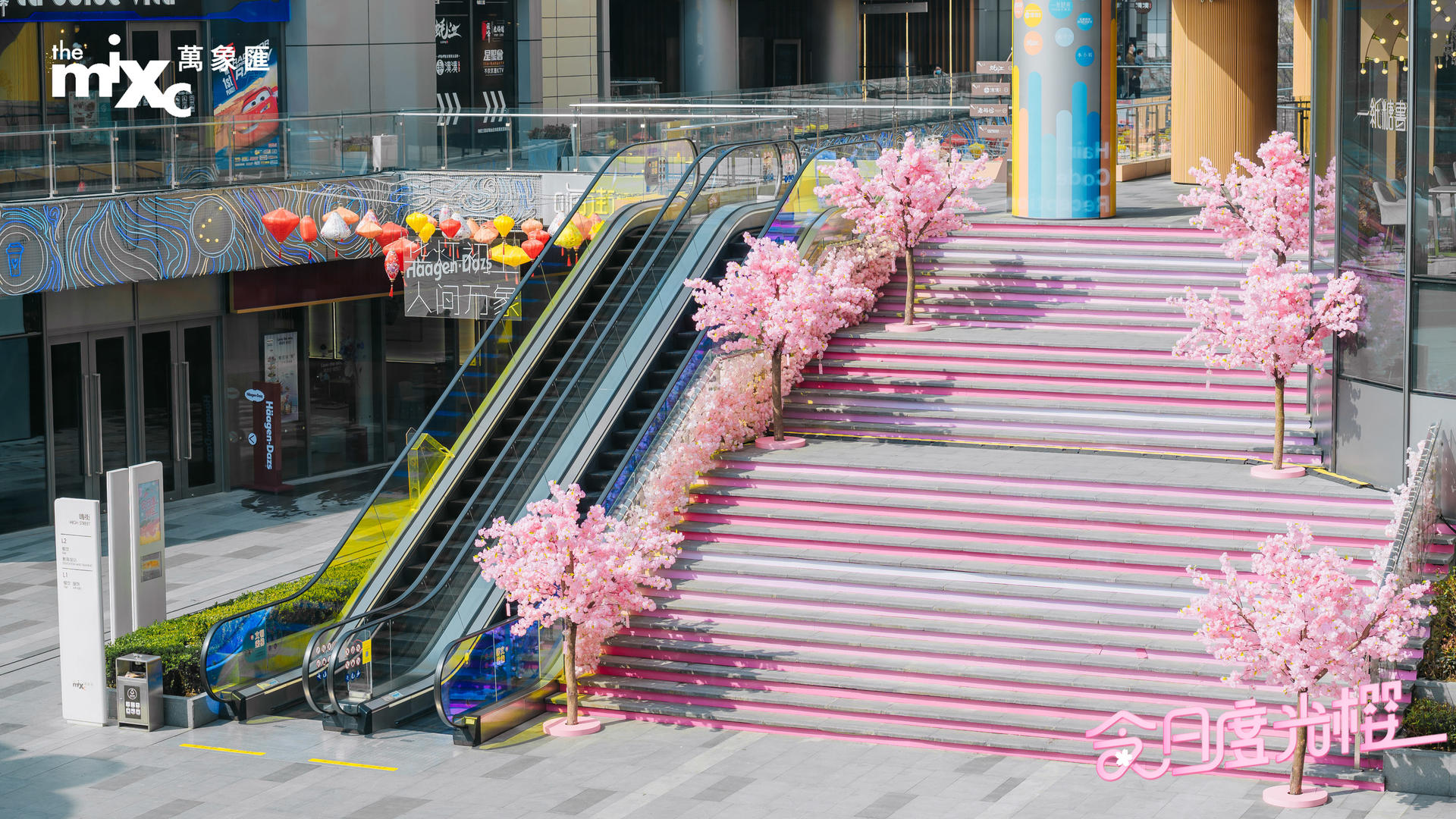 漫步「今日度光樱」美陈活动策划随便一拍都是霸圈的ins风