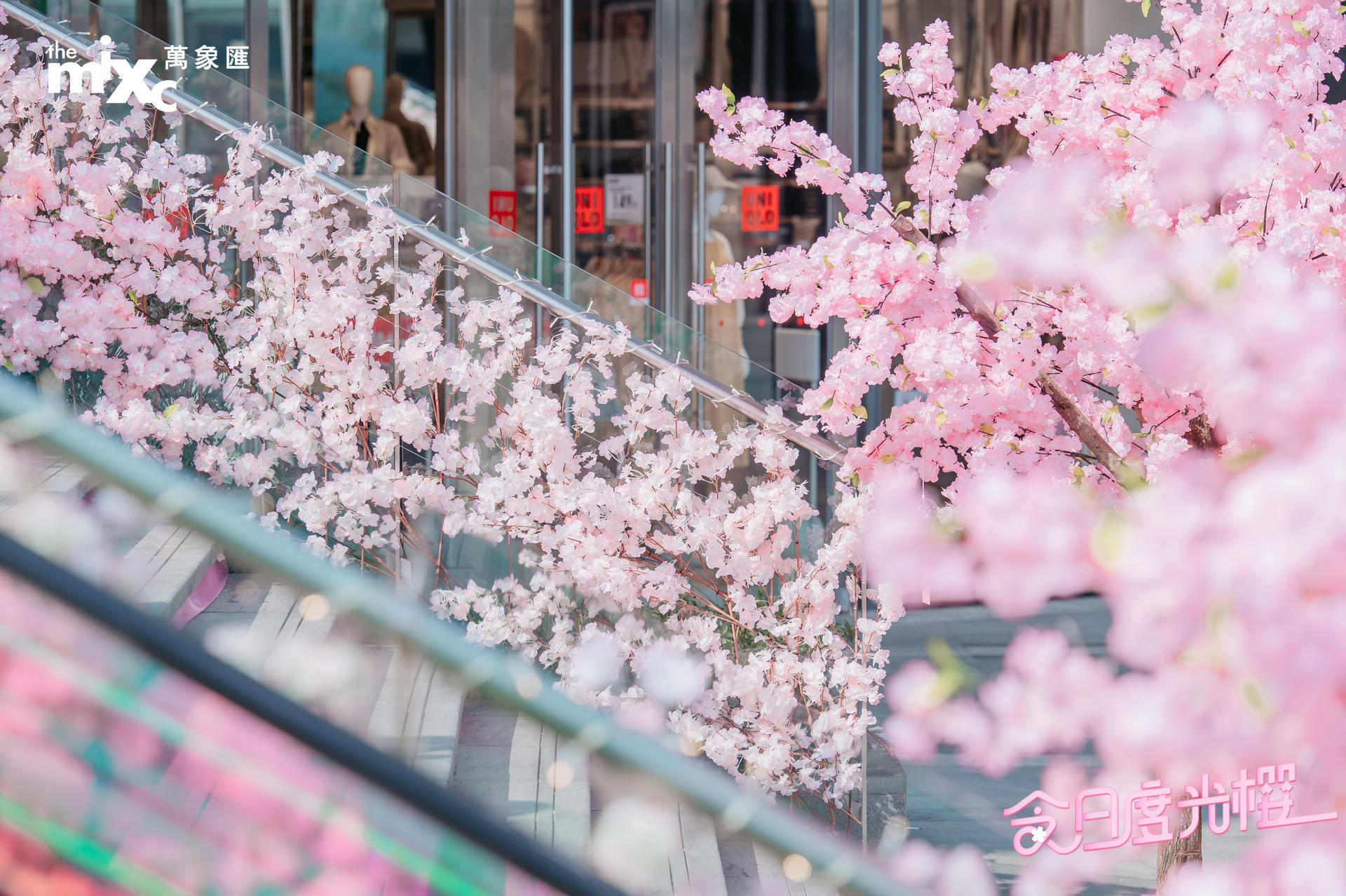 漫步「今日度光樱」美陈活动策划随便一拍都是霸圈的ins风