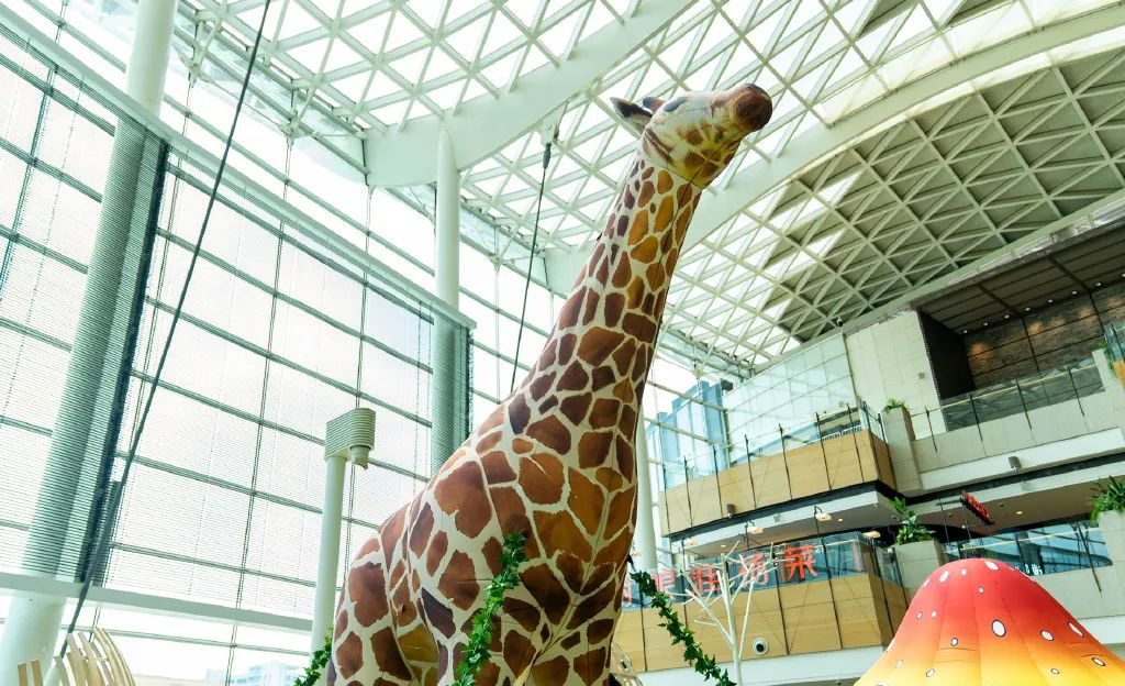 来「森岛动物园」夏季美陈活动策划解锁你的动物系生活吧