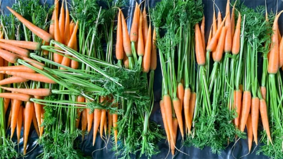 丹纳超市的「抓到金胡萝卜」推广活动策划让参与者收割了一回胡萝卜