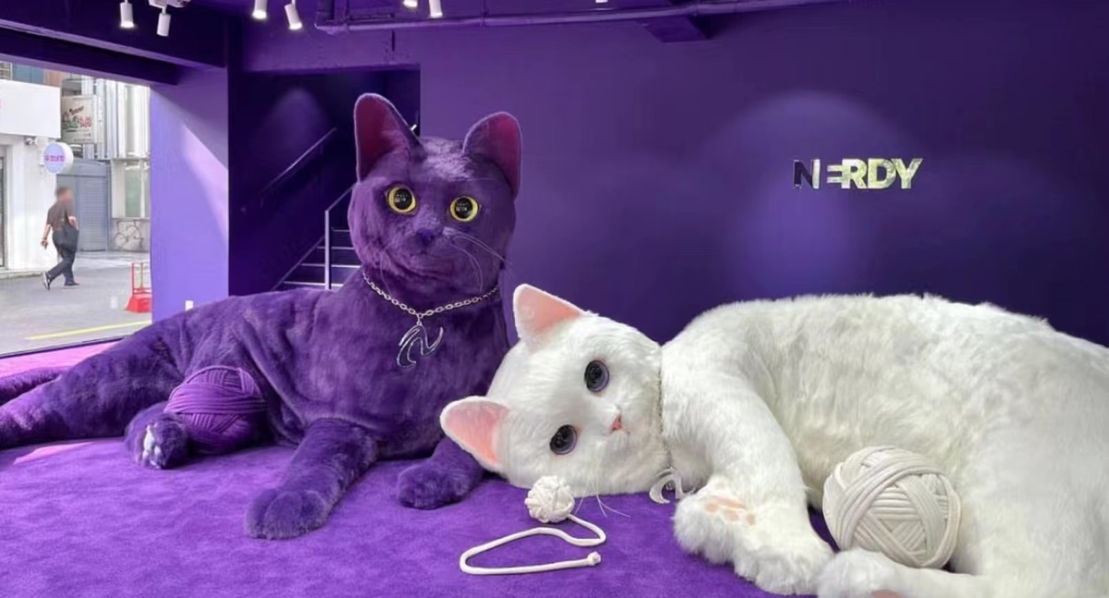Nerdy首尔巨喵快闪店活动策划瞬间点燃你的少女心