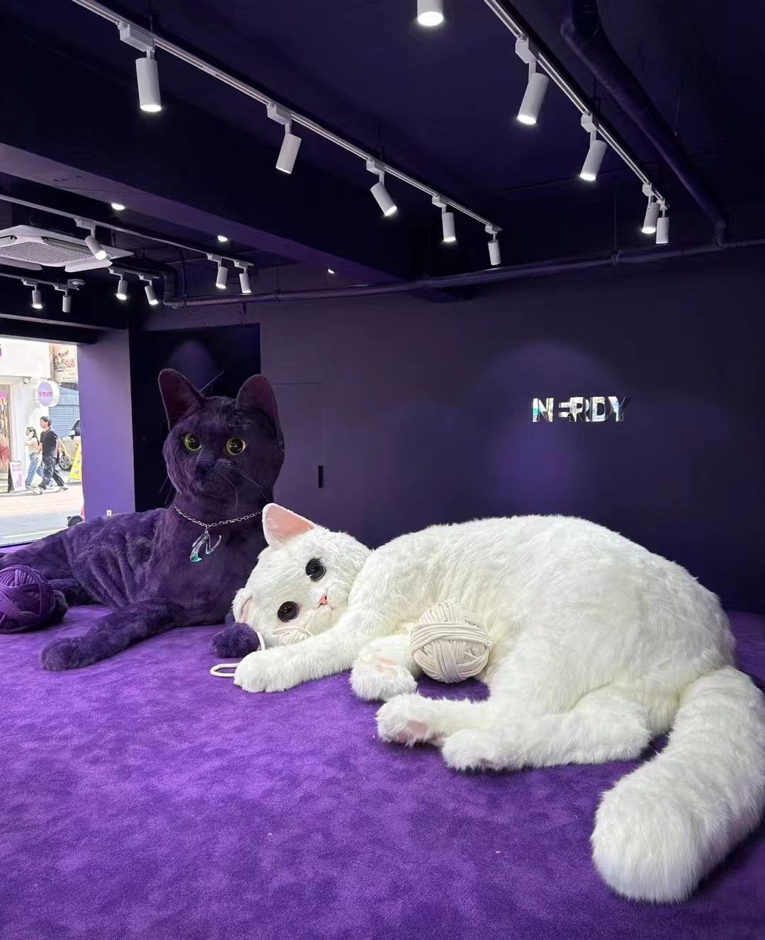 Nerdy首尔巨喵快闪店活动策划瞬间点燃你的少女心