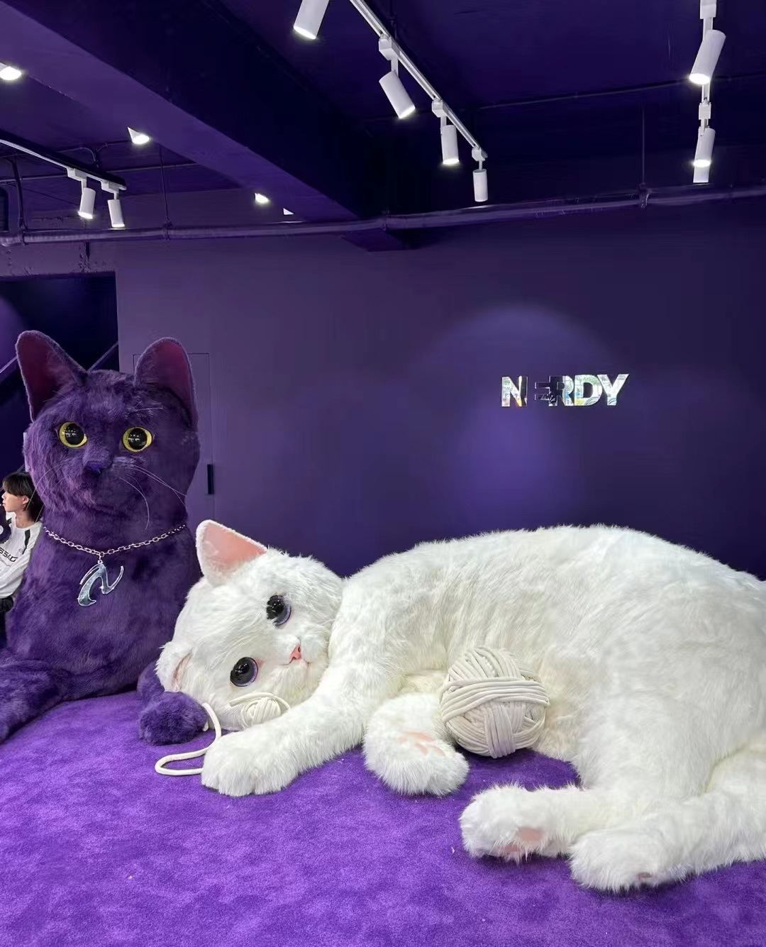 Nerdy首尔巨喵快闪店活动策划瞬间点燃你的少女心