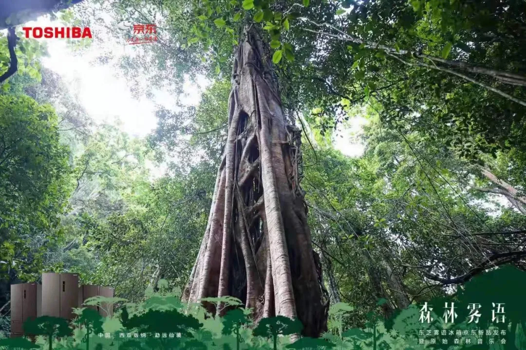 东芝雾语冰箱京东新品发布活动策划更像是一场森林的声色味盛宴