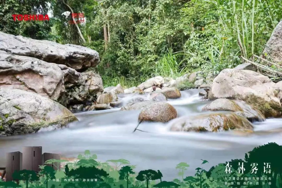 东芝雾语冰箱京东新品发布活动策划更像是一场森林的声色味盛宴