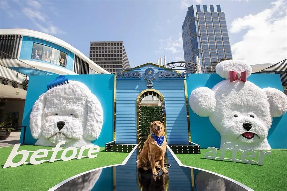 「完美狗狗」节目宣传活动策划还能为宠物录制T台视频秀