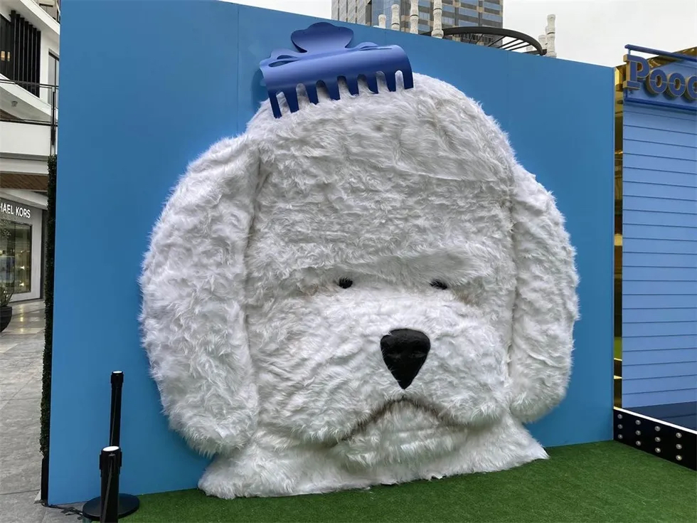 「完美狗狗」节目宣传活动策划还能为宠物录制T台视频秀