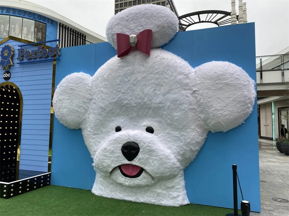 「完美狗狗」节目宣传活动策划还能为宠物录制T台视频秀