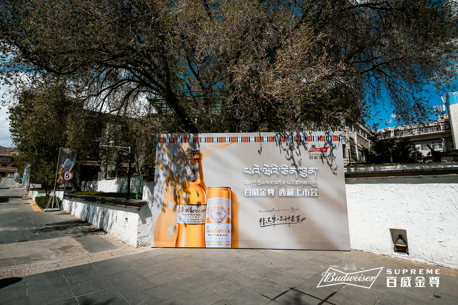 百威金尊西藏上市发布会活动策划用心定制，现场麦芽装饰尽享丰收
