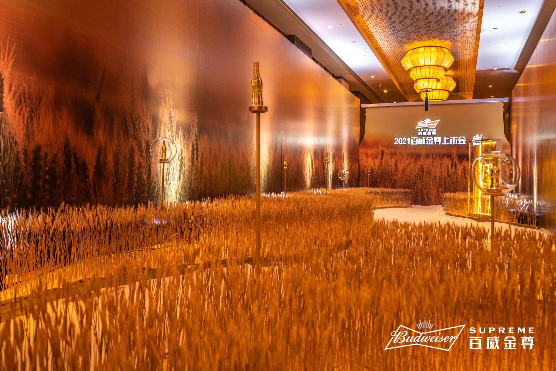 百威金尊西藏上市发布会活动策划用心定制,现场麦芽装饰尽享丰收