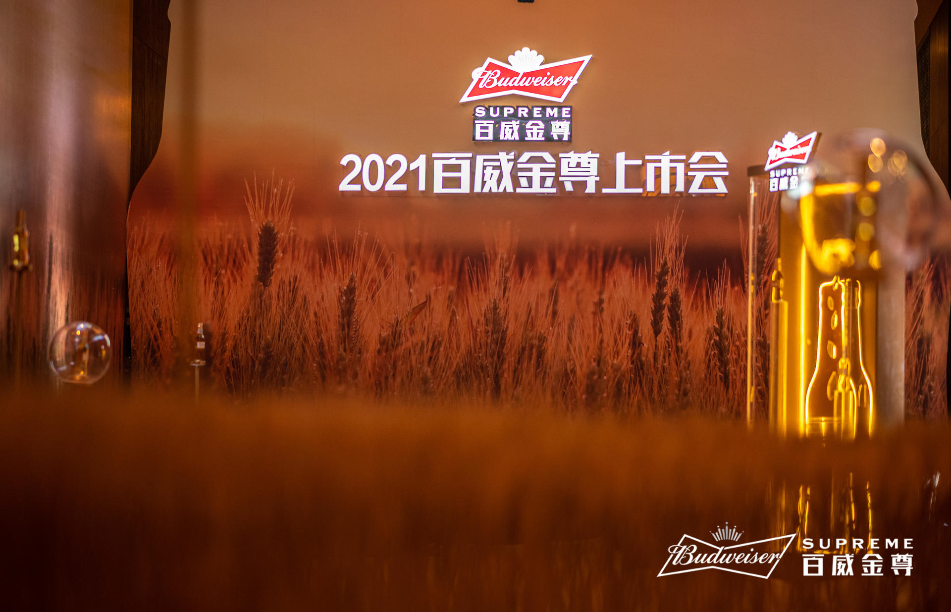 百威金尊西藏上市发布会活动策划用心定制,现场麦芽装饰尽享丰收