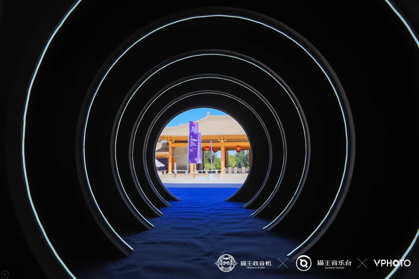 这位声音旅行者穿越时空了:猫王收音机