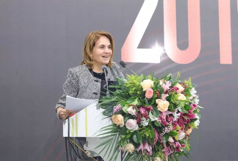 灯光设计师行业活动特邀希腊教授分享了舞台灯光与建筑照明