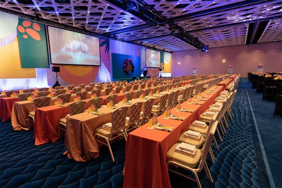 全体大会活动策划的明亮颜色和花朵装饰，与热带主题匹配度超高