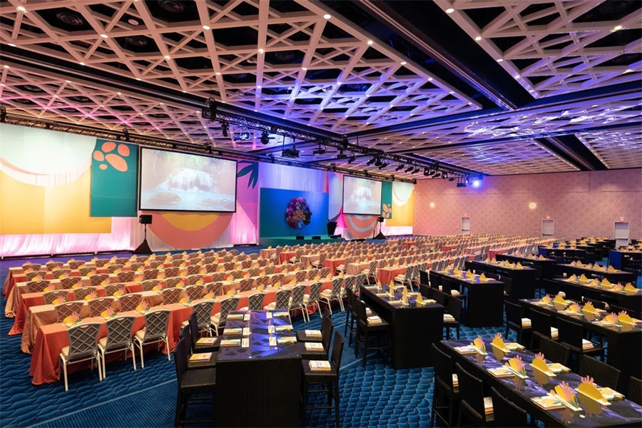 全体大会活动策划的明亮颜色和花朵装饰，与热带主题匹配度超高