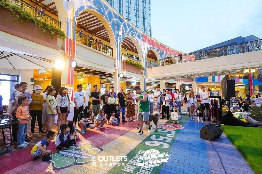 非日常宠物派对活动策划开播了,5大宠物玩乐区域嗨翻天了