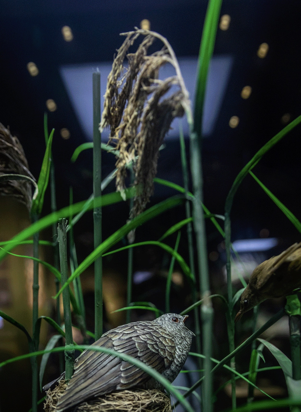 听说欧莱雅中国“多样星球”狂欢派对活动策划聚集了一群「夜行动物」