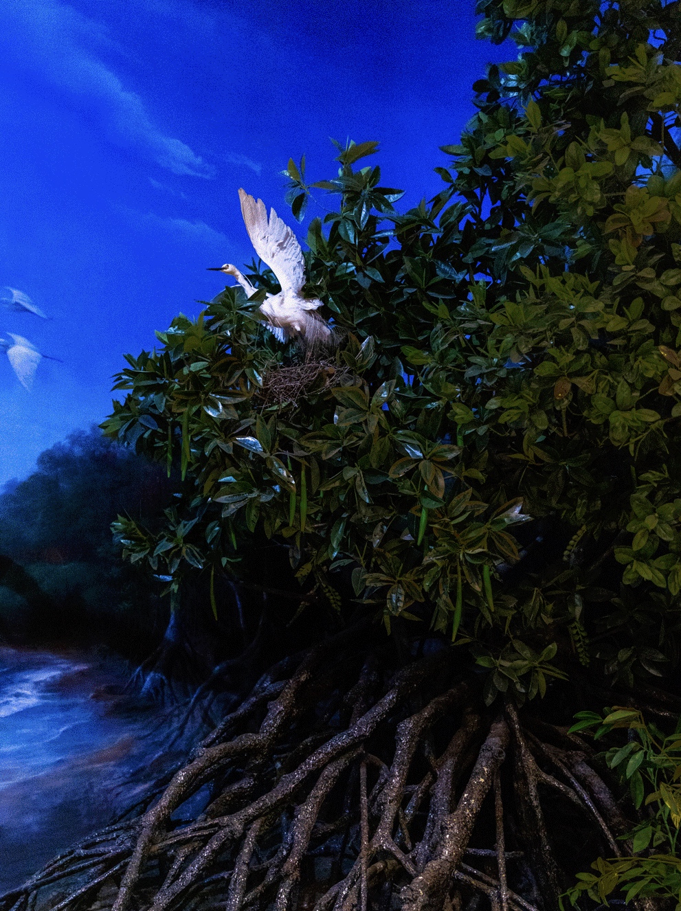 听说欧莱雅中国“多样星球”狂欢派对活动策划聚集了一群「夜行动物」