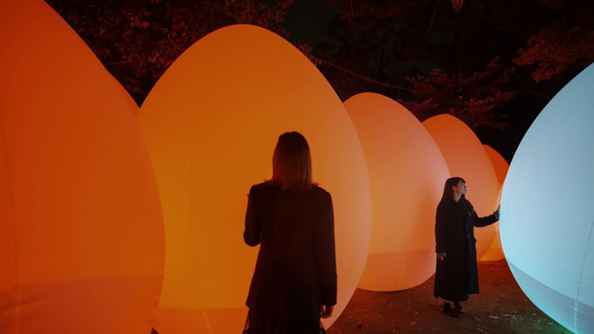 小伙伴们快看过来，TeamLab又带新作品来世界遗产京都“下鸭神社”了