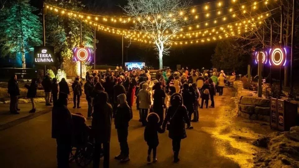 看,白雪季节的灯光秀活动策划的主角是一群夜行动物,真美