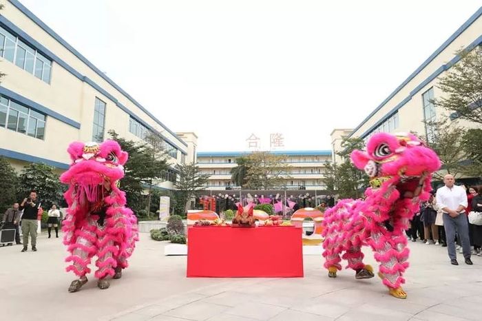 特色风情的年会活动以醒狮拉开序幕,还上演了一场异域风情的嘉年华