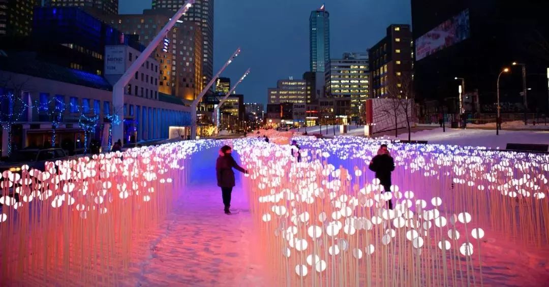 28000个白色水晶茎的灯光秀展览活动，反思人类与自然环境的关系