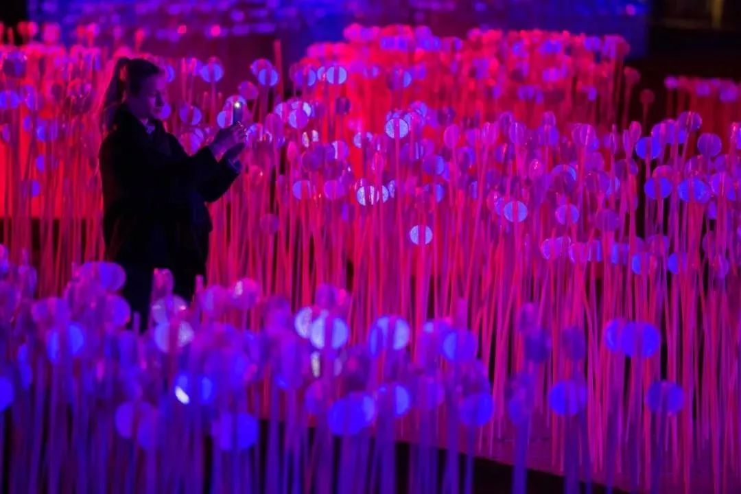 28000个白色水晶茎的灯光秀展览活动,反思人类与自然环境的关系