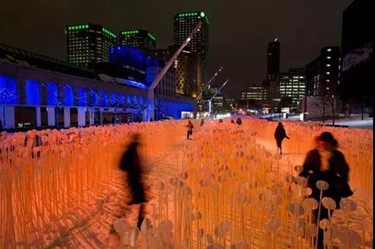 28000个白色水晶茎的灯光秀展览活动,反思人类与自然环境的关系