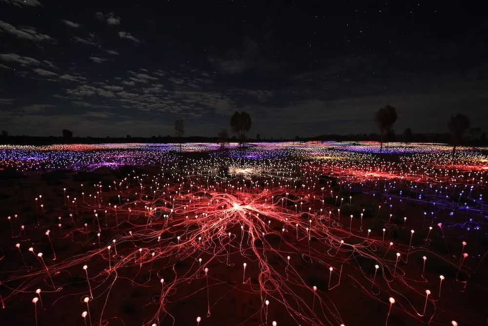 原野上的一场沉浸式灯光秀活动仿佛夜空中花朵般怒放