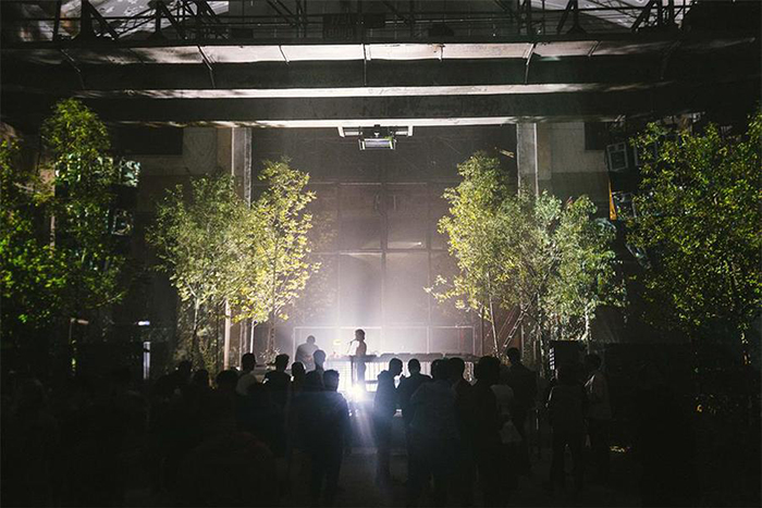 电音节派对活动现场的艺术装饰，展示了森林才是主角的概念