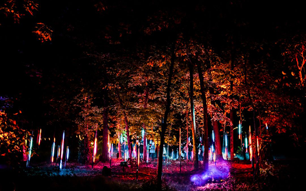 灯光秀艺术展览活动领我们冬天在沉浸式森林一起漫步,走起!