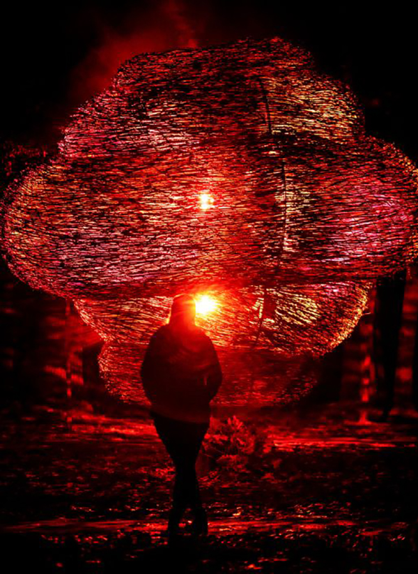 灯光秀艺术展览活动领我们冬天在沉浸式森林一起漫步,走起!