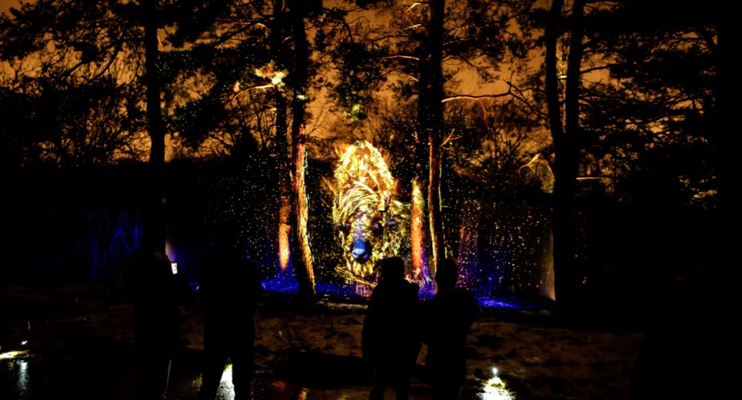 改变城市夜生活的灯光艺术展览活动邀你来动物园欣赏不一样的夜景