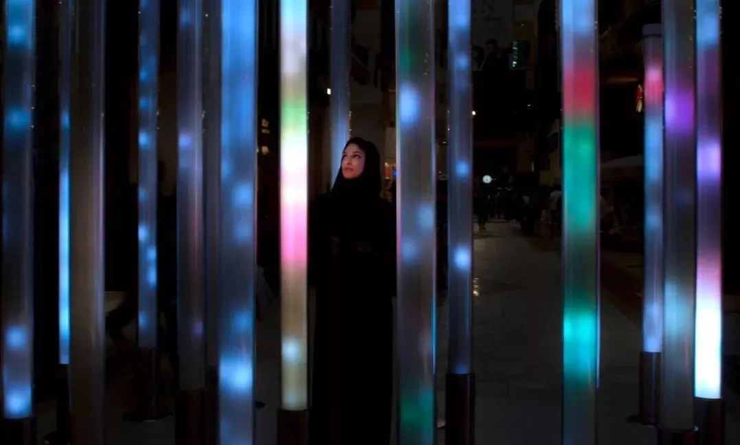 百鸟汇集的沉浸式展览活动让人耳目一新,大自然的鸟舍原来如此