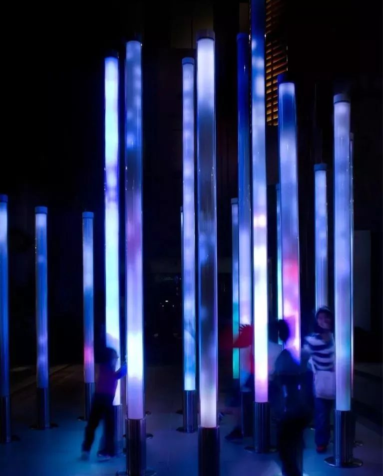 百鸟汇集的沉浸式展览活动让人耳目一新,大自然的鸟舍原来如此